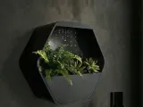 Горшок для цветов-0
