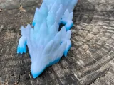 Peacock Dragon-1
