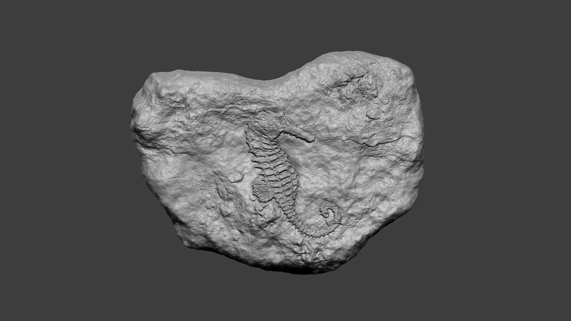 Props &amp; Terrain STL Download - Seahorse Mineral Fossile - Realistic ...
