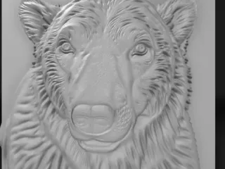 bear