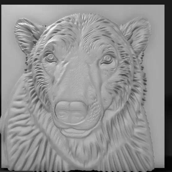 bear
