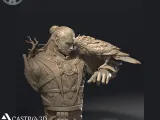 Halsin - BG3 Bust Collection 3D print model-0