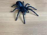 The most realistic spider-2