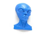 Wall Alien - Relief-6