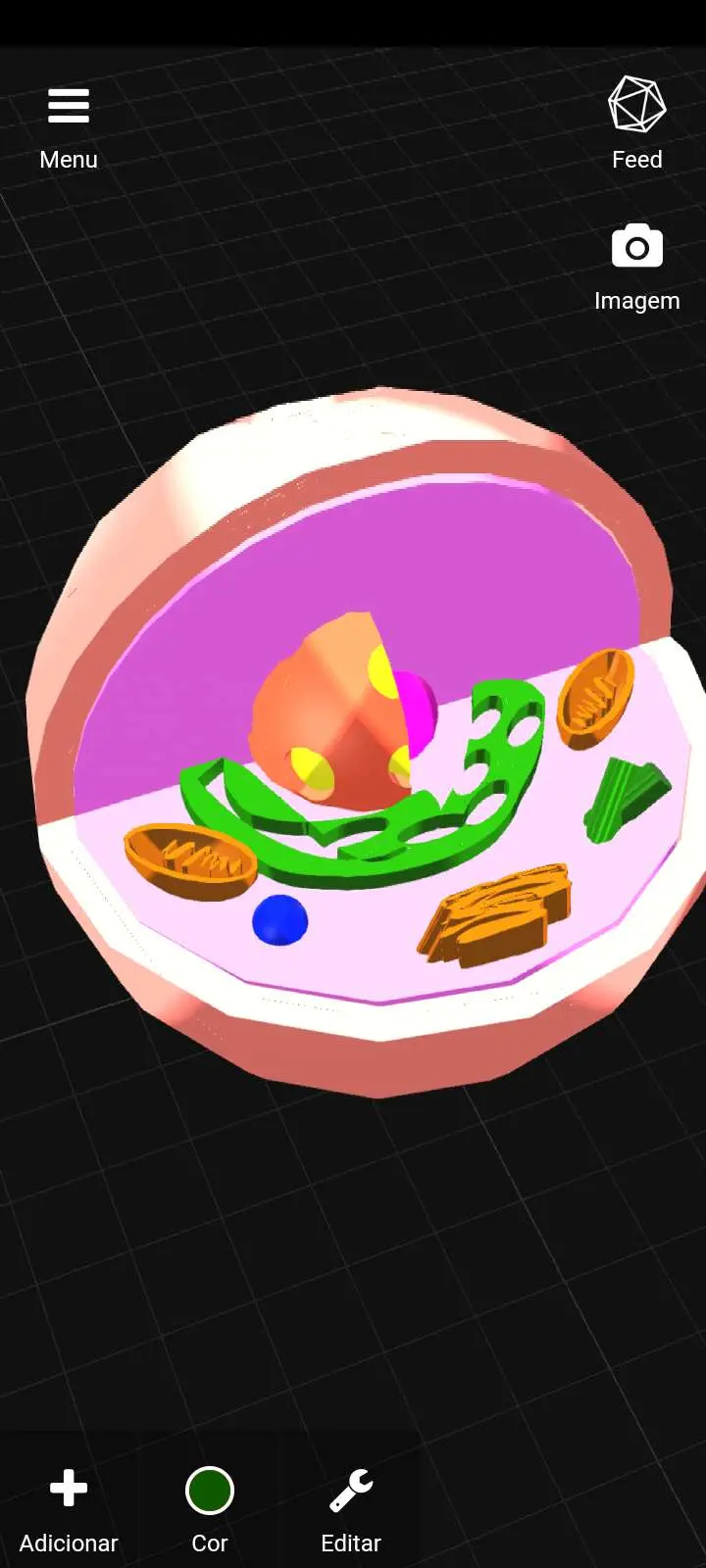 Cell / Célula