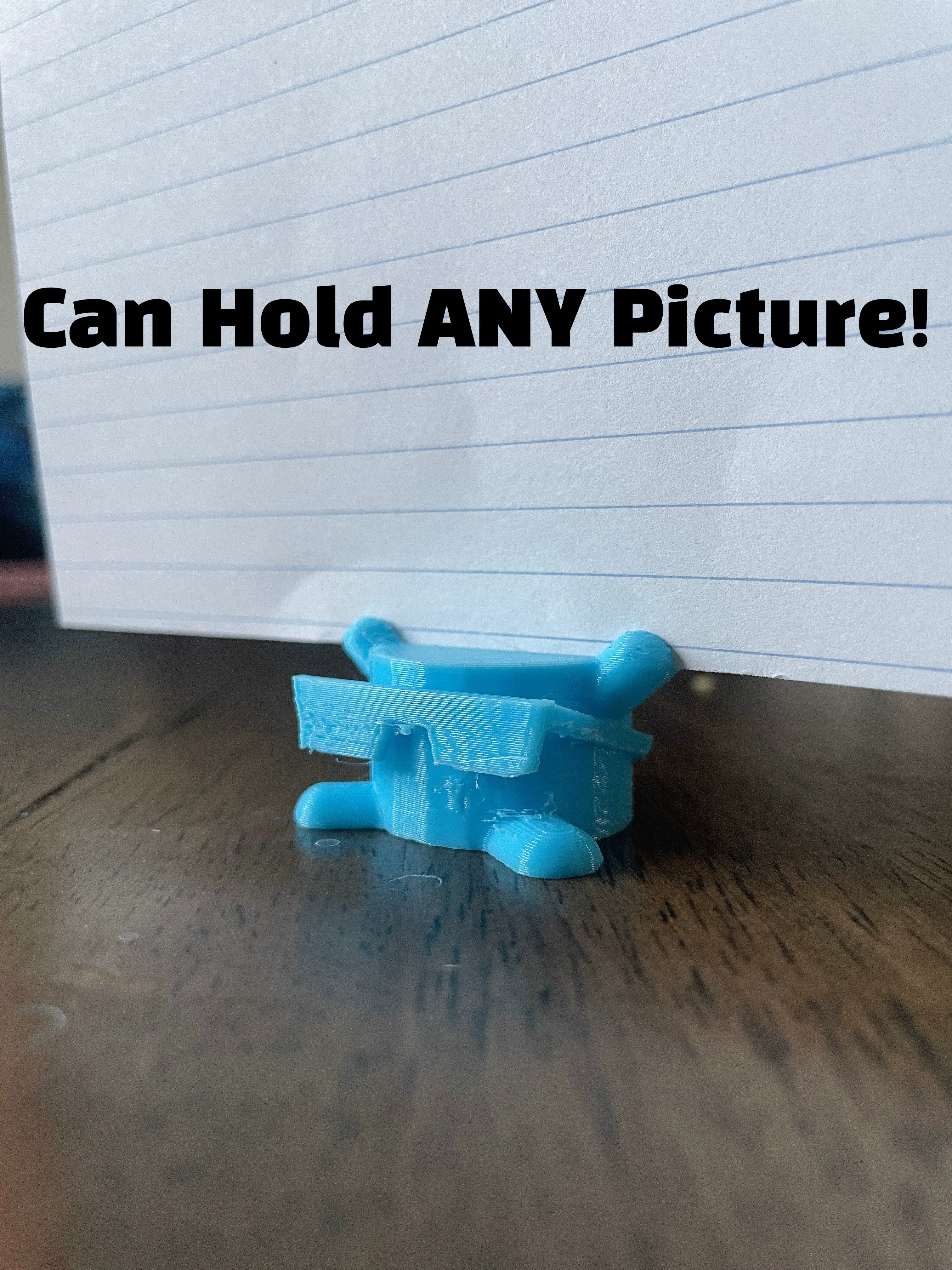 Mr. Cool - Your picture holding companion!