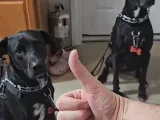 Dog Bone Tags-1