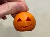 Mini pumpkin-0