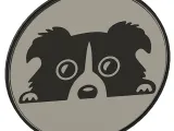 Border Collie Coaster-1