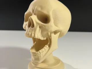 Screaming Skull