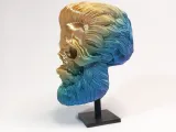 BEARD SKULL COLLECTION - Nº1-3