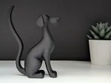 Cane Elegante-2