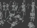Human Skeleton Dynamic Pose Pack-8