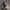 Anila Granblue Fantasy