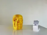 DISCO SKULL PLANTER-7