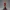 Scarlett Monroe – Golden Spotlight Edition