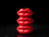 3D Lips Vase | Modern Face Embossed Lip Planter-7