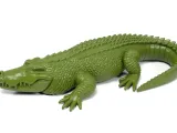 Crocodile-2