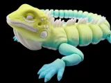 Flexible Iguana-0