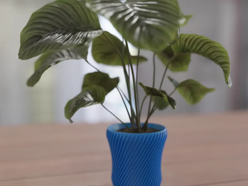 Indoor Pot