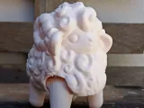sheep-0