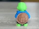 Urbane Swag-Schildkröte-4