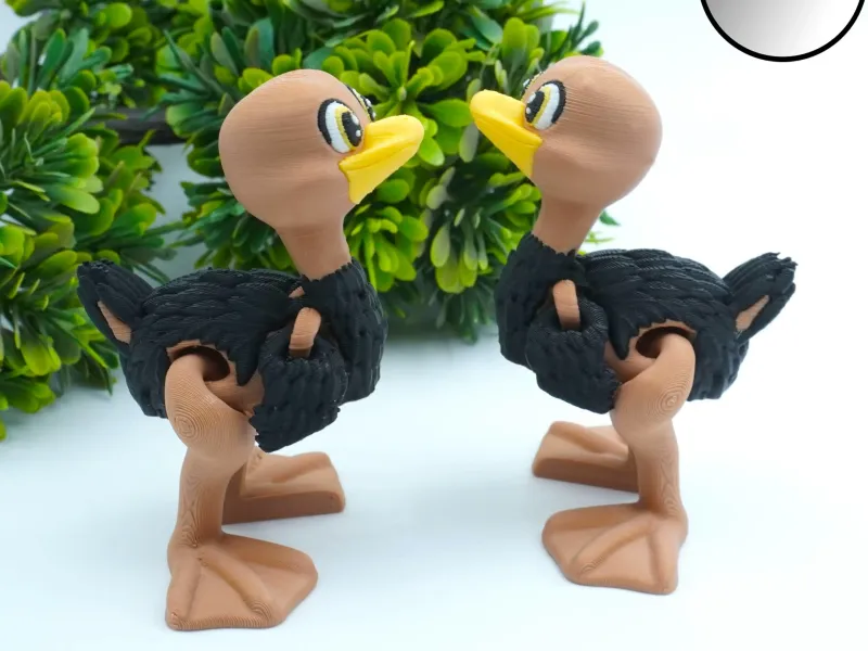 FLEXI TINY STRAUSS