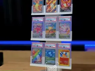 card holder display