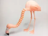 GELEDEN FLAMINGO-5