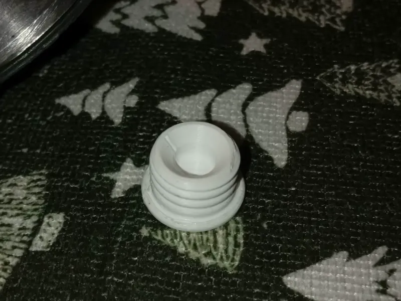 Temporary sealing plug for the fuel tank filler neck.