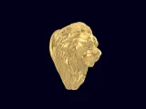 Lion pendant-4