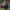 Vampire Chonk - MEME - CREALITY CLOUD EXCLUSIVE