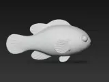 Nemo fish-4