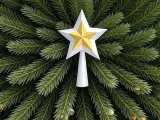 Christmas Tree Star-0