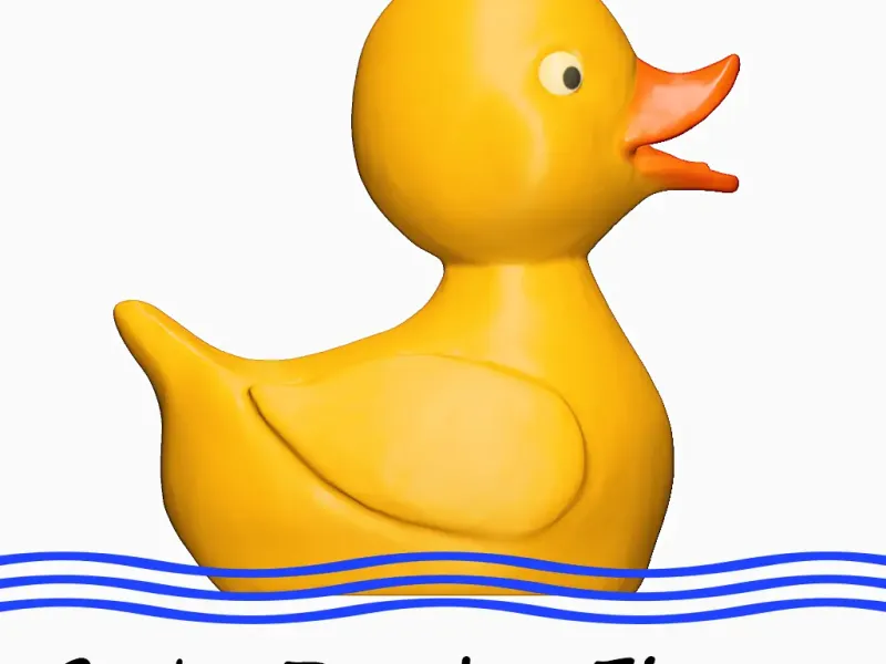 Figura di Ducky