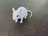 Realistic Mouse Figurine-3