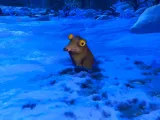 Snow Creature-1