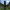 Enderman - Mini Figure - Minecraft (Set 1)