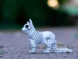 Skeleton Cat Articulated Toy-5
