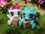Dragon V2 reading book-0