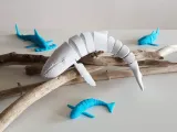 Humpback Whale Flexi-4