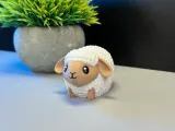 Cute Sheep-4
