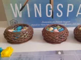 Wingspan 3D Upgrade-0
