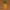 Creepy Pineapple Face | Scary | horror