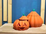 Pumpkin Box-2