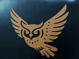 Owl in full flight-1