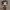Jill valentine Funko