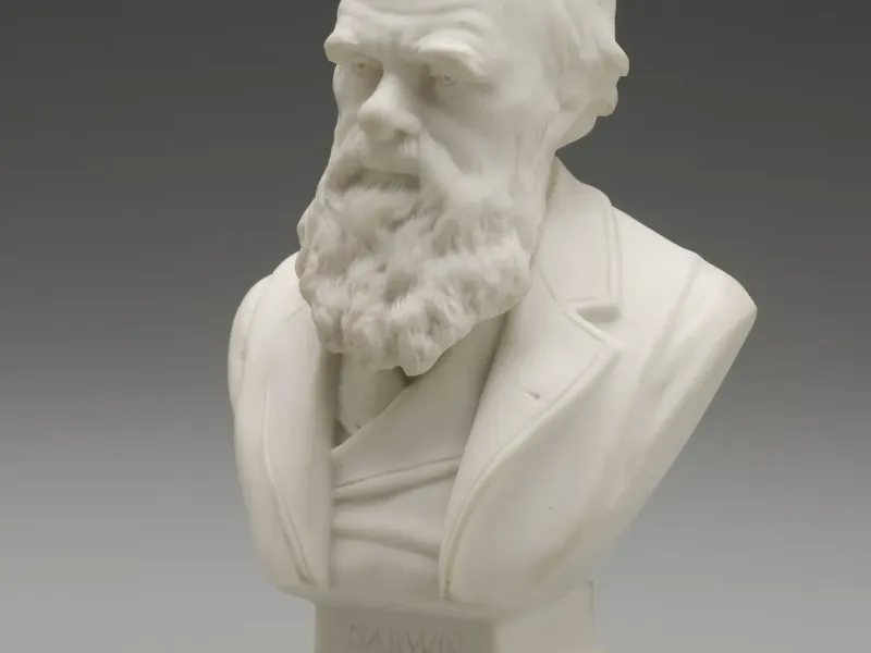 Charles Darwin Bust