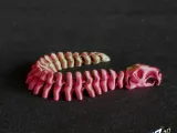 Flexi Capy Snek-5