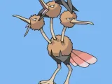 Dodrio Wall Art-0